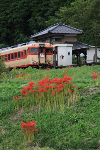 いすみ鉄道の「雨の日スペシャル」