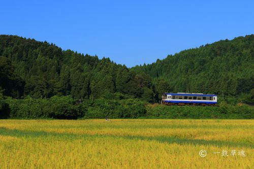 稲刈りの準備と「のと鉄道」