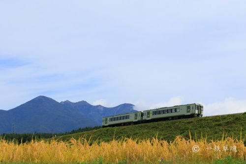 大堰堤を行く秋の高原列車