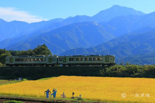 高原列車とススキと案山子
