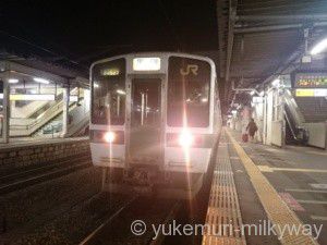 鉄道の日記念・東北本線黒磯発着の交流電車と719系