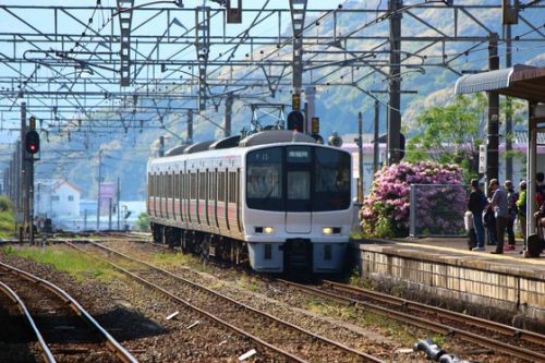 【有田陶器市臨】 JR九州 佐世保線 811系 臨時快速有田陶器市号 有田駅 (2017.04.29)