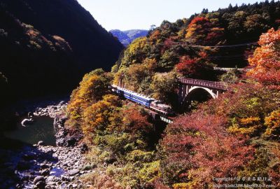 錦秋纏う渓谷を往く元祖トロッコ列車