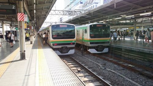 湘南新宿ラインの足跡~前身の時代:中距離電車の池袋乗り入れ