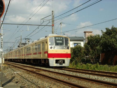 スーパードラッグ秋桜畑にて 下大利駅付近 2003-10-26