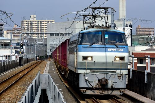 おおさか東線の高架区間を走行するEF66-109号機牽引のコンテナ貨物と201系通勤電車(高井田中央駅)