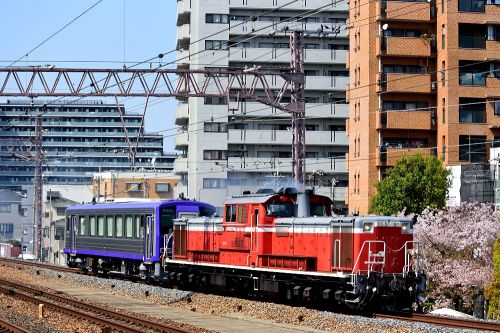東海道本線の塚本駅に咲く都会の桜をバックに行くDD51ー1192号機牽引のキハ120配給他(塚本駅)