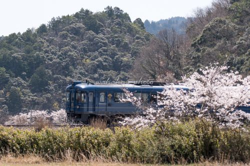 かぶと山駅近くでお弁当(笑)