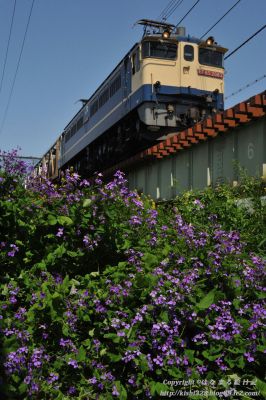 PF2083代走4074列車