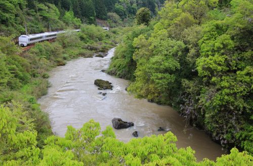 福知山線の新緑の渓谷を駆け抜ける287系特急「こうのとり号」(下滝~丹波大山)