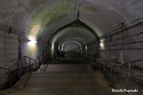 460段の階段をずっと下ります。 土合駅。