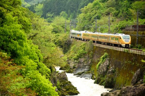 福知山線の新緑の渓谷を行く289系「こうのとり号」と223系ローカル電車(下滝~丹波大山)