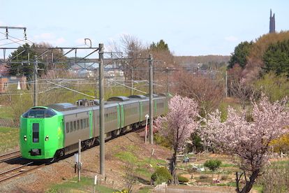今年度の列車とサクラ