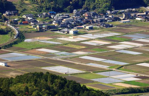 福知山線の丹波地方の春の新緑と水田の中を行く287系特急「こうのとり号」(丹波竹田~福知山)
