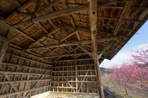 のたりと春 その16 美作滝尾駅③ 木の造形