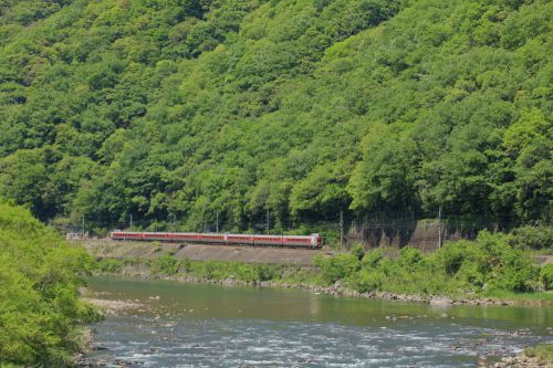 伯備線の高梁川沿い渓谷の新緑風景を行く381系特急「やくも号」(備中川面~方谷)