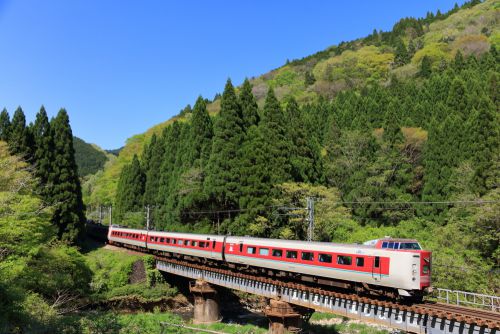 伯備線の新緑の峠路を行く381系特急「やくも号」(新郷~足立)
