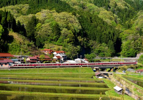 伯備線の里山の新緑の水田風景を行く381系特急「やくも号」(上石見~下石見信)