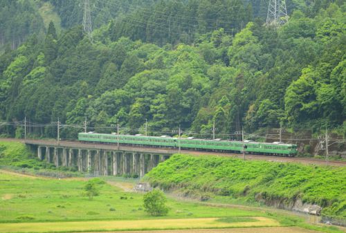 湖西線の新緑の追坂峠を行く113系ローカル電車(永原~マキノ)