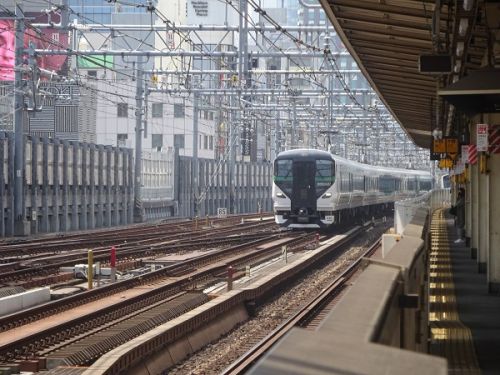 連休中の臨時列車、連休明けの集約臨に活躍するE257系5000,5500番台 part6 小田原方面から日光へ向かう集約臨を上野東京ラインで撮影する