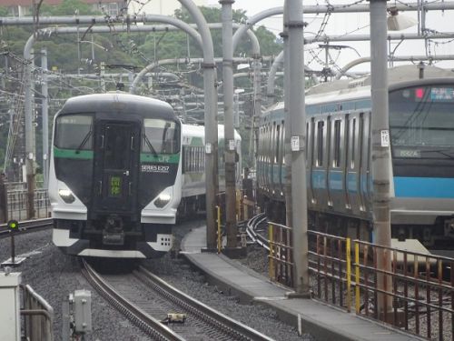 連休中の臨時列車、連休明けの集約臨に活躍するE257系5000,5500番台 part9 高崎線沿線から東京への団体臨