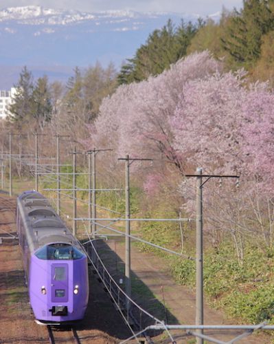 宗谷線特急として運行を終了したキハ261系5000番台ラベンダー編成