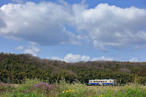 北条鉄道の田園風景の中で活躍を始めたキハ40-535号機(網引~粟生)