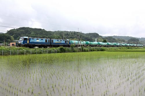 中央西線「今日のカモレ」6088レ・8084レ・81レ・5875レ&試運転列車