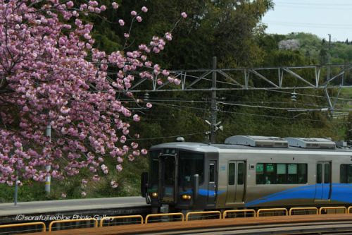 北陸路の三セク境界駅にて1