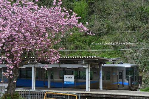 北陸路の三セク境界駅にて2