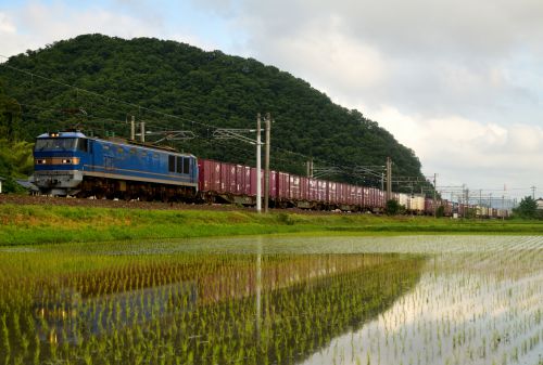北陸本線の里山の水田風景の中を行くEF510牽引のコンテナ貨物と681系特急「しらさぎ号」(湯尾~南条)