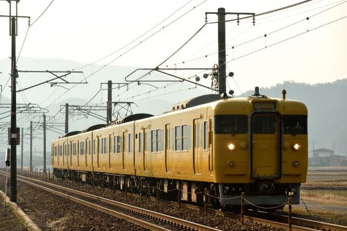 山陽本線の朝陽に輝く朝霧の中を行く113系電車他(三石~上郡)
