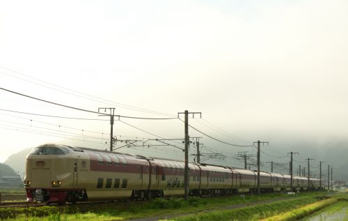 山陽本線の朝霧の田園風景の中を行く285系特急「サンライズ瀬戸・出雲}(三石~上郡)