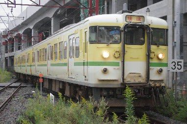新潟の115系電車がたったの4編成に!