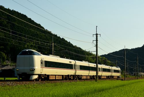 福知山線の朝陽の水田風景を行く287系特急「こうのとり号」他(篠山口~南矢代)