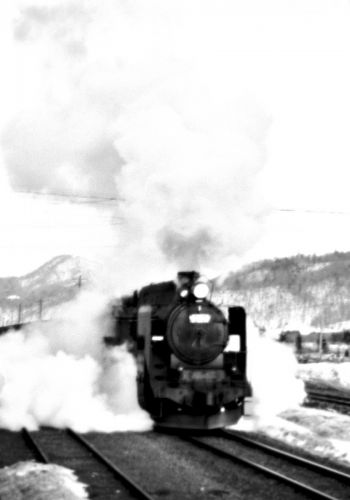 夕張線 滝ノ上駅に居たD514をパチリ!(3)