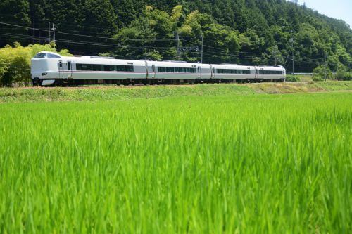 福知山線の里山の田園風景を行き交う287系・289系特急「こうのとり号」(下滝~谷川)
