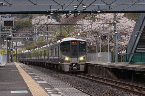 阪和線・山中渓駅での桜の撮影記録(2022.4.3)