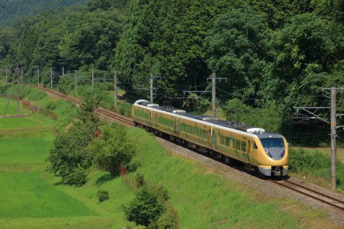 山陰本線の杉木立をバックに行く289系特急「こうのとり号」ラッピング車と113系ローカル電車(梁瀬~上夜久野)