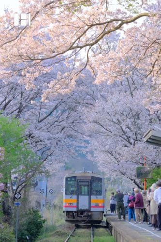 三浦駅