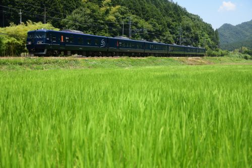 福知山線の里山風景の中を駆け抜ける117系「WEST EXPRESS 銀河」と289系特急「こうのとり号」(下滝~谷川)