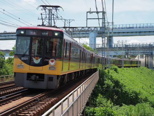 京阪特急 鳩マーク誕生70周年 記念ヘッドマーク