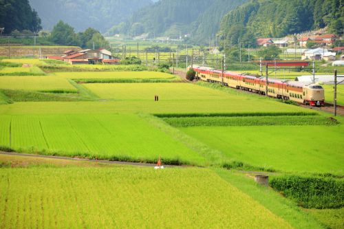 伯備線の田園の中の下石見信号所を通過する285系特急「サンライズ出雲号」(下石見信号)