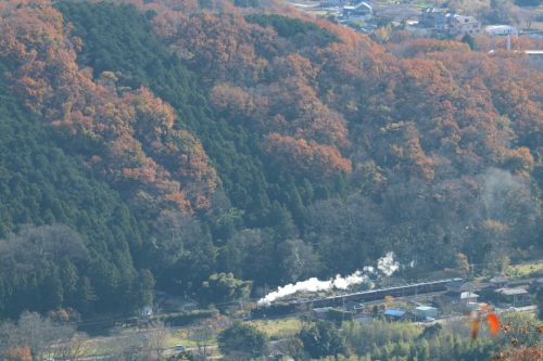 紅葉の秩父盆地へ入る白煙　- 2021年・秩父鉄道 -