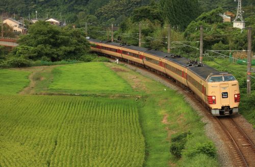 伯備線の夏の水田風景を行く381系国鉄色「やくも24号」(黒坂~上菅)