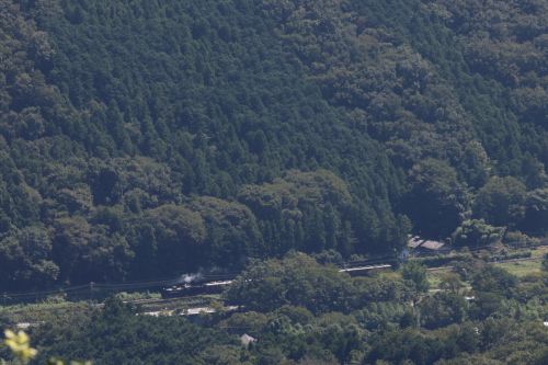 秋晴れの頃 - 2021年・秩父鉄道 -