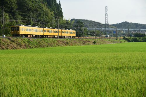 山陽本線の朝陽の中を行く希少電車となった105系とEF210牽引のコンテナ貨物(厚東~宇部)