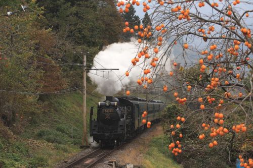 実りの秋　- 2008年・秩父鉄道 -