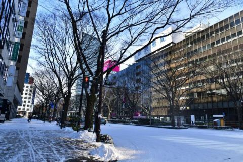 仙石線 あおば通駅、宮城野原駅