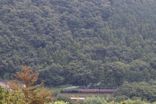 小さな秋 - 2022年初秋・秩父鉄道 -